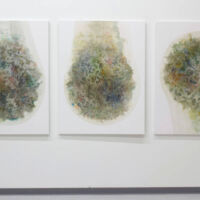 "Weightless dream 2-4"