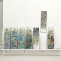 "Fleeting Tracks 1 - 7"