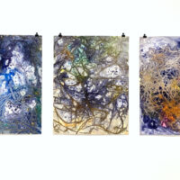"Traces in Motion 10,11,12"